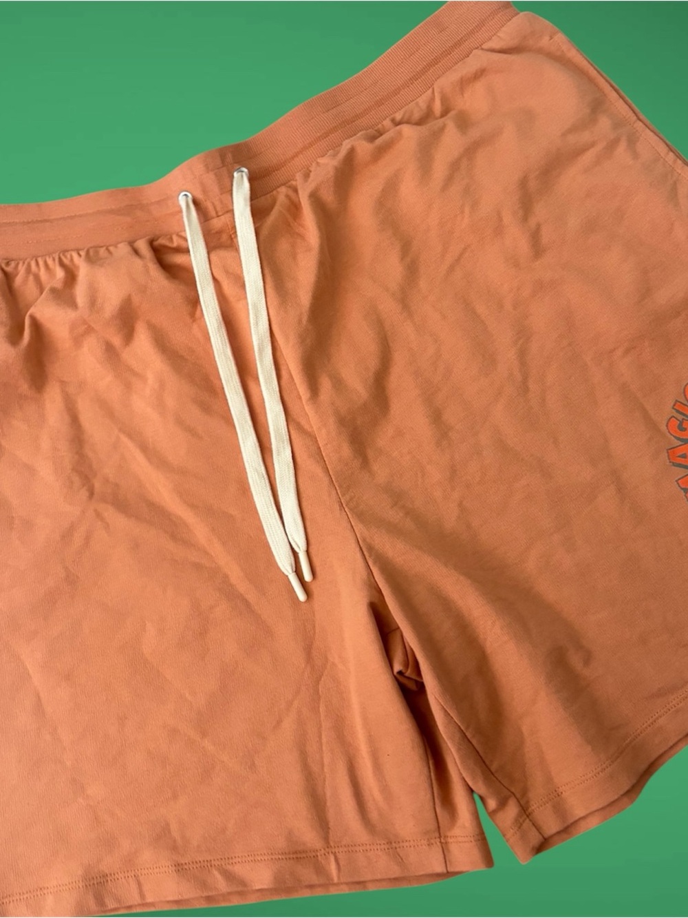 Disney Parks Magical Day At A Disney Theme Park Orange Sweat Shorts Adult
